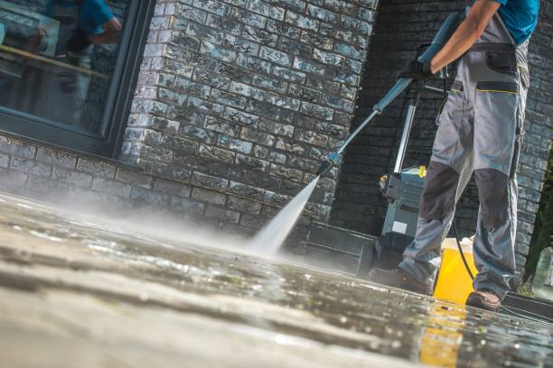 Best Solar Panel Cleaning  in Carbondale, IL